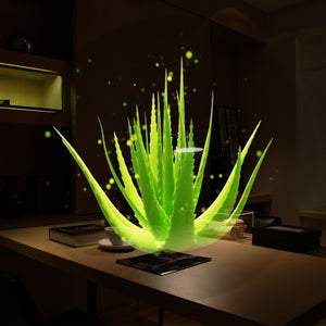 LED 3D Hologram Display Light Decoration